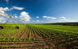 The Agriculture ministry said the 2022 index was driven by positive results in several markets, agribusiness exports, and agricultural prices