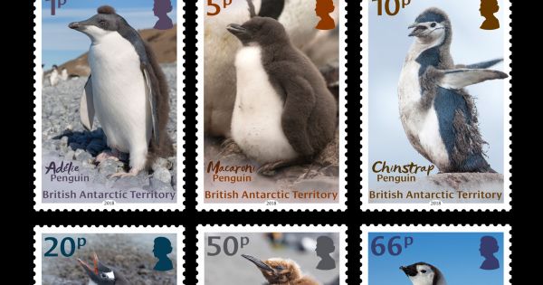 British Antarctic Territory release of a stamp featuring an Emperor ...