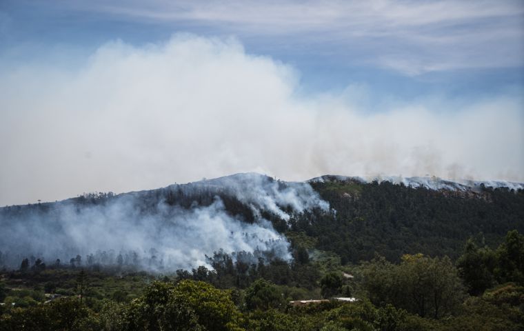 Intentionality has not been ruled out as a possible cause for the fire at Cerro del Toro, Graña explained. Photo: Sebastián Astorga / MercoPress