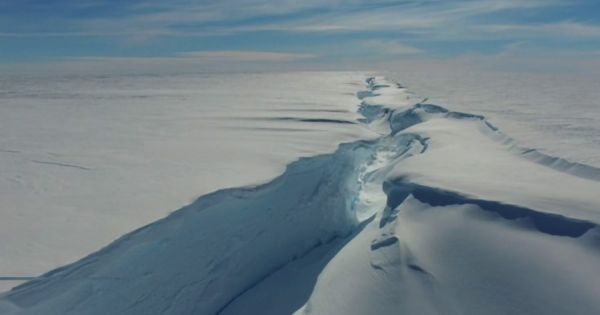 Argentina keeping an eye on Antarctica's new iceberg - Vimarsana News