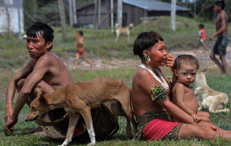 The Amazon Fund resources will be used to address the sanitary crisis among the Yanomami people in Roraima