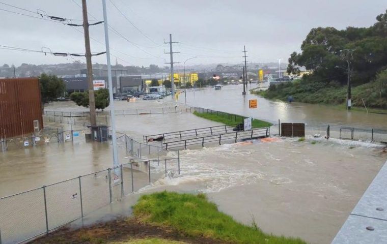 Damage caused by the ‘wild weather’ to New Zealand’s cruise industry comes soon after five international cruise ships' itineraries were restricted due to bio-fouling.