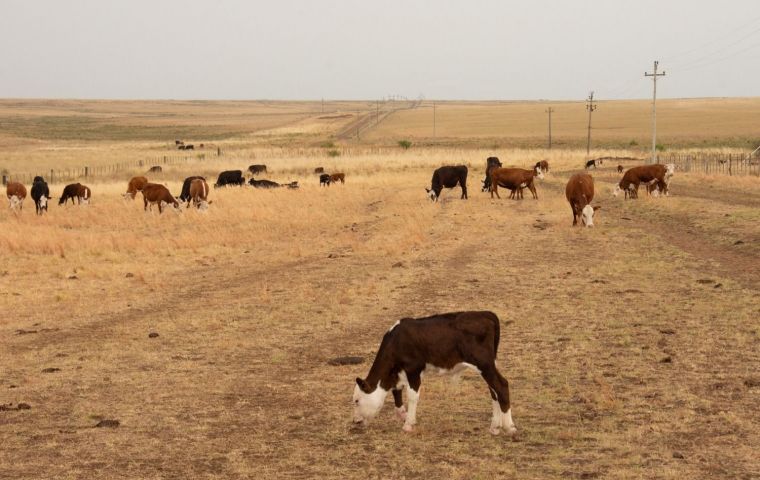 Mattos highlighted the loans from the National Development Agency. It is estimated that it will reach 600 producers for almost 9 million USD.