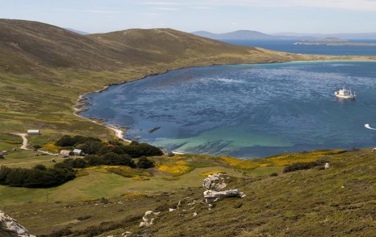 Projects have expanded, the Falkland Islands Community School projects on earwig control and 3D printing of recycled plastic