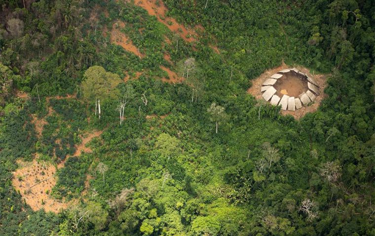 Scientists fear these groups may go extinct after contact with the western culture through direct conflict or by catching diseases unknown to them