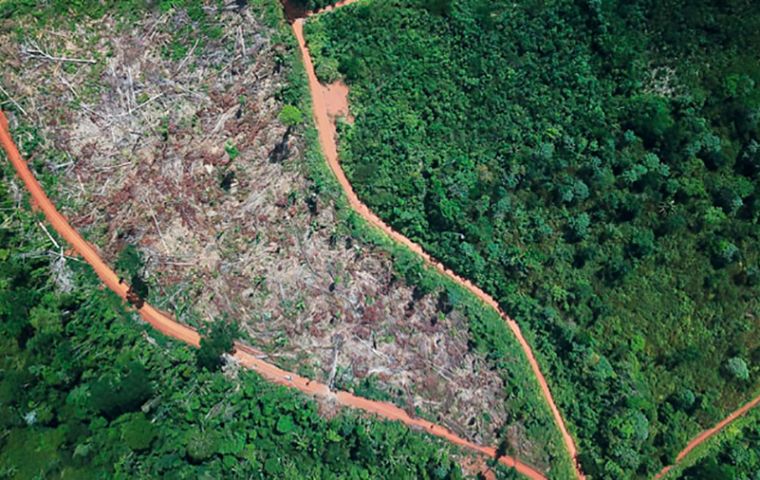 If there is gold in the indigenous land of Roraima, no one has the right to take it out without the authorization of the indigenous people of Brazil, Lula said.