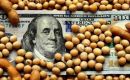 Agro dollar It will be in effect for 30 to 90 days, it was reported in Washington DC, where Massa was on an official mission to the International Monetary Fund (IMF).