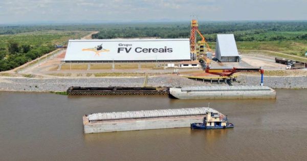 Brazil ready to supply Argentina with soybeans for the its crushing industry - Vimarsana News