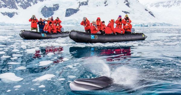 Antarctic Tourism is up, but experts give it a thumbs down - Vimarsana News