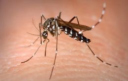 “It can be painful at the joint level but [chikungunya] usually is not a serious disease,” Rando said