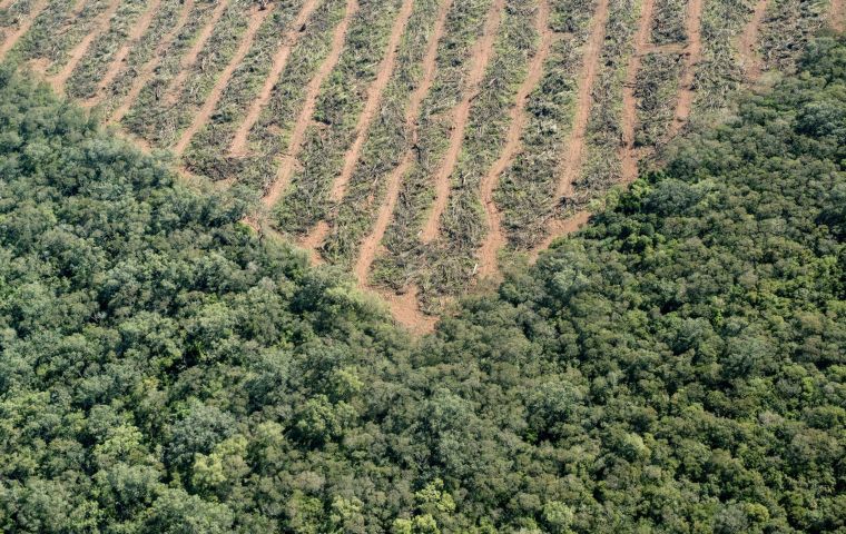 Algunas especies no han sido intervenidas previamente por el ser humano, por lo que su pérdida es irreparable 