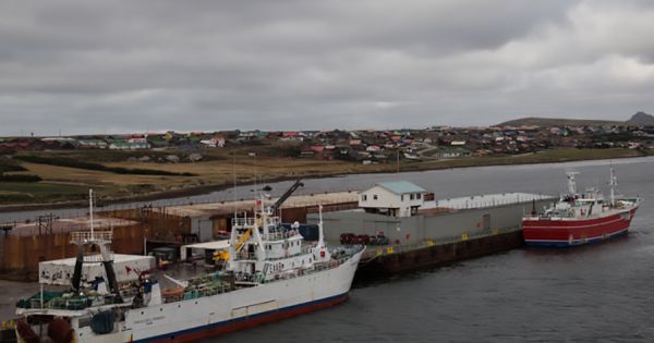 Falklands Government agrees to contract extension for the supply of Management Services at FIPASS - Vimarsana News