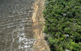From January to May this year, there was a 31% drop in deforestation,” João Paulo Capobianco said at a press conference.