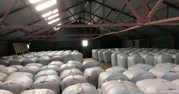 Only 40% of Falklands wool clip, mainly finer wool, has been sold - Vimarsana News