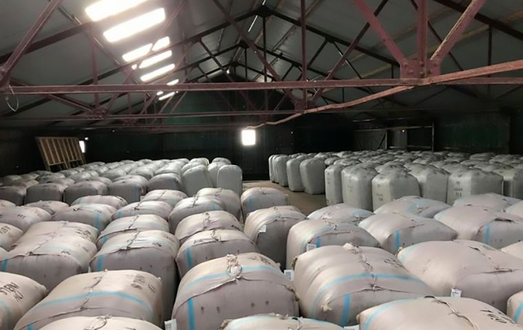 A storage with some of the remaining 1,800 bales of wool, waiting to be sold in a “buyers market” 