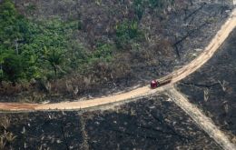 During the first two terms of President Luiz Inácio Lula da Silva (PT), in the 2000s, the loss of forests had decreased considerably 