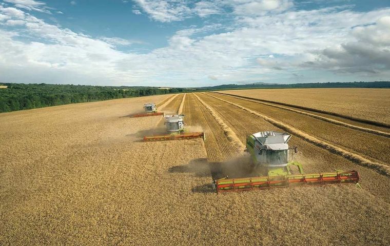National soybean harvest witnessed a 20% rise compared to 2022, when drought adversely affected crops in the South.
