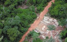 “Deforestation was increasing exponentially but now there is a steady downward trend in deforestation in the Amazon,” Minister Silva said