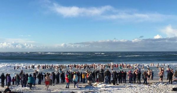 Falklands are holding Mid Winter Swim plus a "Lunacy Certificate" — MercoPress - Vimarsana News