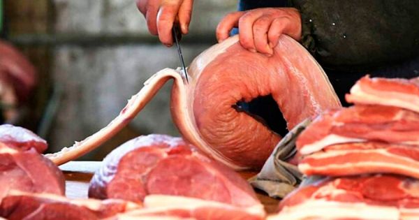 Paraguay aumenta seis veces sus exportaciones de carne de cerdo a Taiwán;  Chile es el próximo mercado potencial – MercoPress