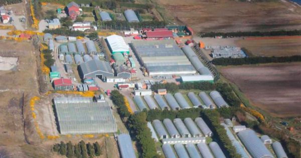 Falklands lawmakers want Stanley Growers back in the private sector - Vimarsana News
