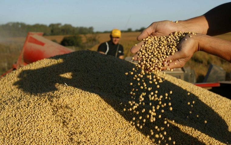 Argentina is the world’s largest exporter of soybean meal and oil, with a processing capacity of around 70 million tons