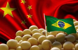  Chinese buyers are snapping up Brazilian soybeans for delivery in October, a time of year when US exports are typically at their peak
