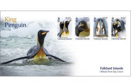 The first issue of the series will be of the King Penguin, and stamps will be on sale from the Post Office from Tuesday 3 October.