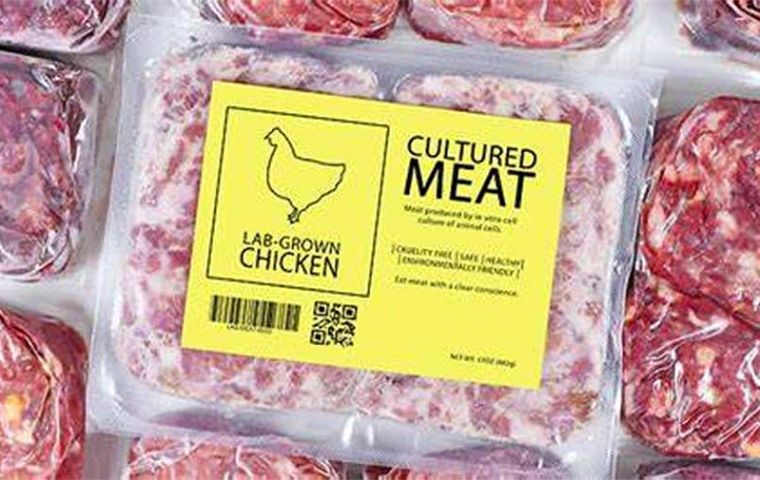 Proponents of cultured meat say it’s healthier and more environmentally friendly than traditional meat. Outside the U.S., only Singapore has cleared the sale of cell-cultured meat.