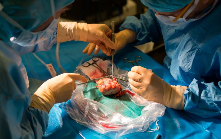 Xenotransplantation would bring on a whole new set of opportunities for patients in need of organs