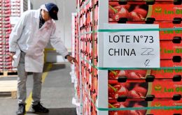 Harvest is promising but climate and port logistics are essential to ensure Chile can effectively increase exports of cherries, mainly to China the leading market 