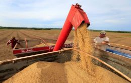 China, a key importer, purchased 62.3 million tons of soybeans, marking a 15% increase from the same period in 2022. 