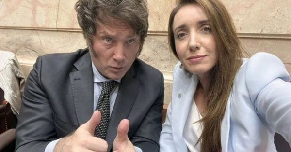 Milei's running mate, linked to last military dictatorship, pays tribute to "victims of terrorism" — MercoPress - Vimarsana News