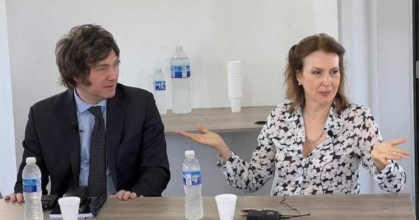 "We will never give up our struggle for Malvinas", foreign advisor of Sergio Massa — MercoPress - Vimarsana News
