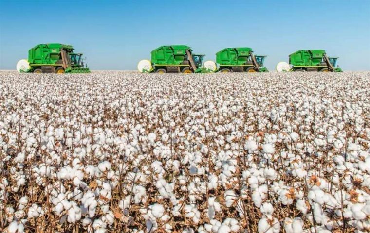 The difference in cotton exports from the two countries is sharply narrowing amid a robust season in Brazil, adding to a list of crops where the US is losing dominance.