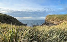 Falklands Conservation leads a three-year initiative, funded by UK Defra, to explore the carbon sequestration potential of the Falkland Islands' peatland habitats.<br />
<br />
