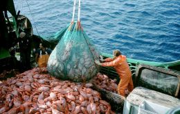 Jiggers landed some 134,000 tons of squid and exports reached 129,000 tons, prices have been slightly higher 4% than in 2022. 