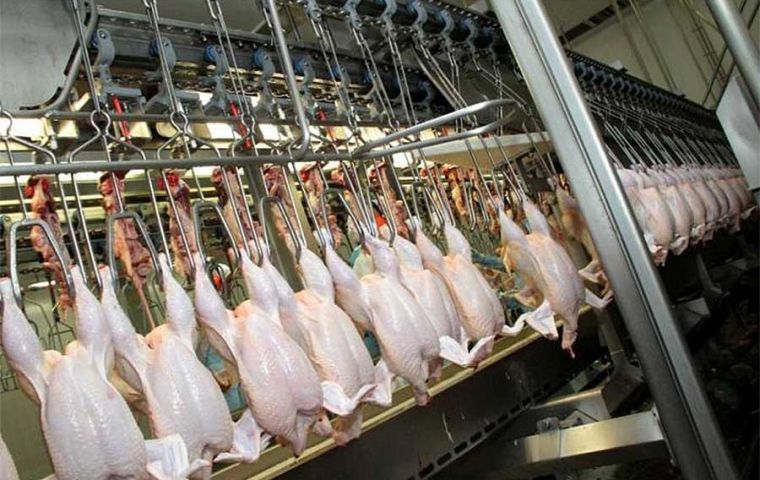 Brazil is projected to account for 36% of worldwide exports, with the United States (the world’s second-largest chicken meat producer) responsible for 25%.