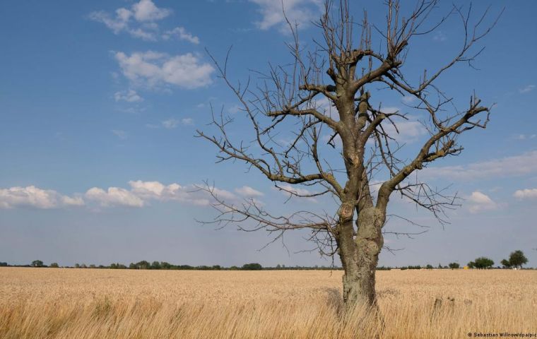 Allegedly 80% of EU habitats are in poor condition, 70% of soils are un healthy, and 10% of bees and butterfly species, crucial for pollination, face extinction