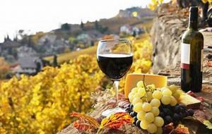 Yields were down 14% in Spain and 12% in Italy, where dry weather reduced this year's harvest of grapes.
