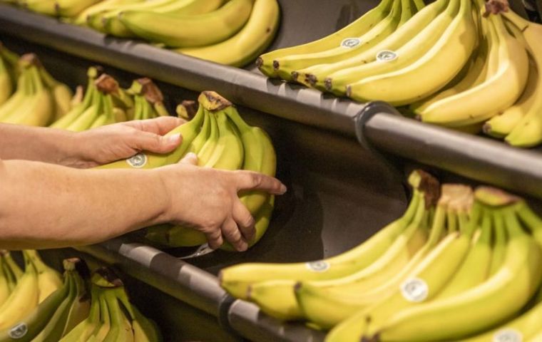 Massa ordered the payment of bananas to be prioritized, Fanego explained