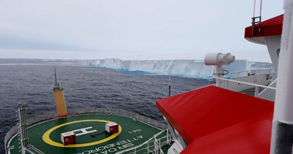 RRS Sir David Attenborough meets mega iceberg A23a drifting towards South Georgia - Vimarsana News