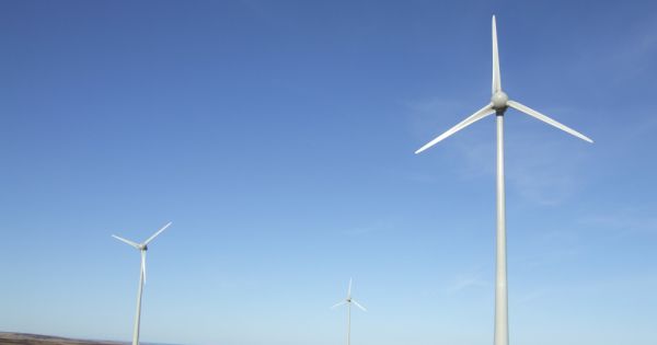 Falklands will proceed with Phase Three of Sand Bay Wind Farm - Vimarsana News