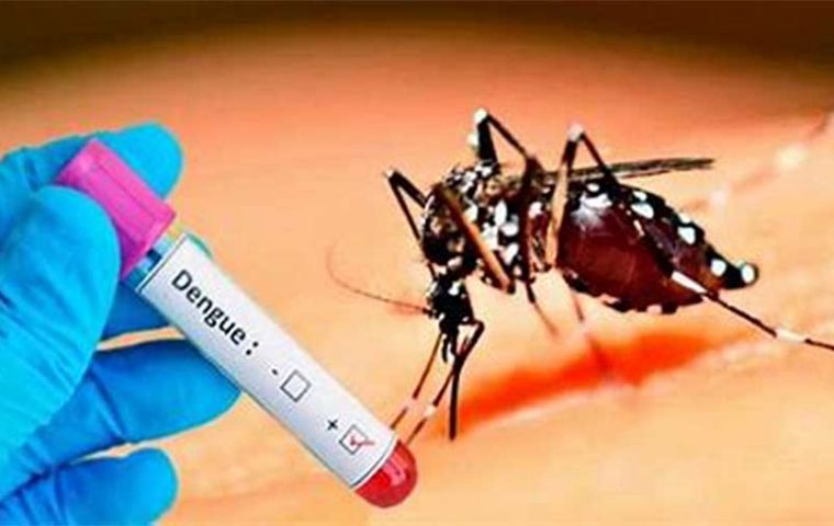 More than 6,000 dengue viral identifications have been made this year, with only one type 4 case   