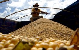 Brazil forecasts a grains harvest of 312 million tons, but climate conditions will hinder soybeans 