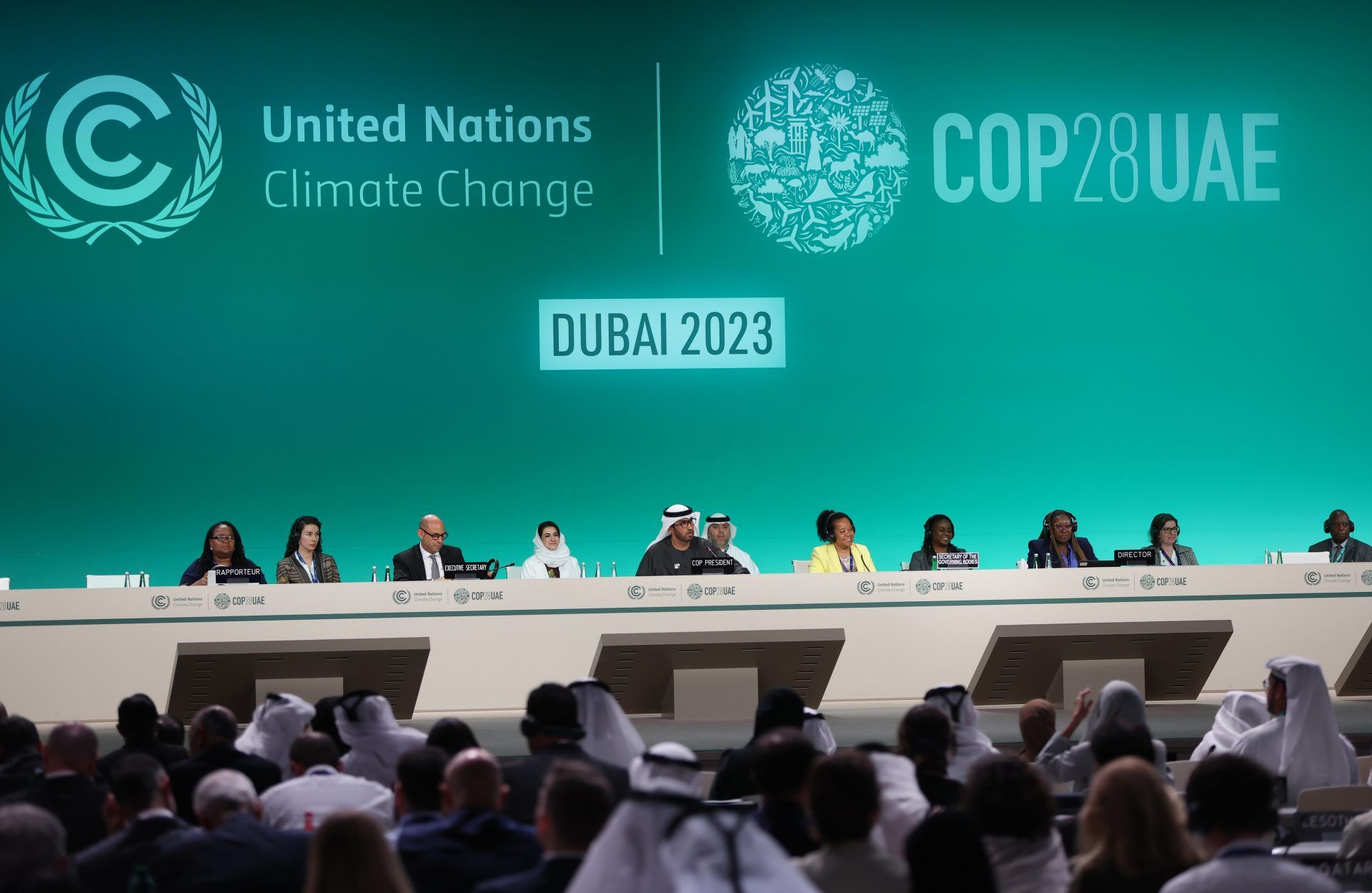 OPEC rallies members against fossil fuels phase out at COP 28, Climate  Crisis News