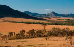 The move could bolster conservation for Brazil’s Cerrado, the world’s most bio-diverse savanna, most of which taken for commercial agriculture