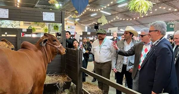 Paraguayan exports grow 24% driven by agriculture - Vimarsana News