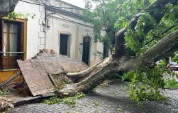 Winds reached gusts of 160 kilometers per hour in Colonia del Sacramento 