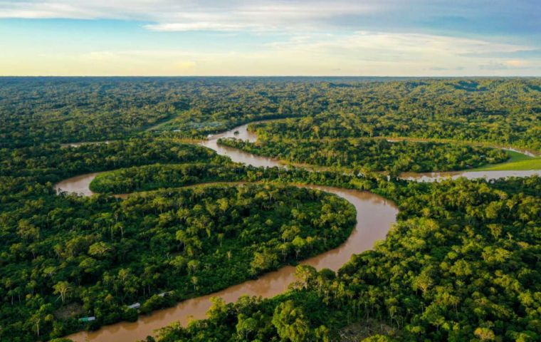 Lula has promoted environmental policies to halt the increasing destruction of the Amazon